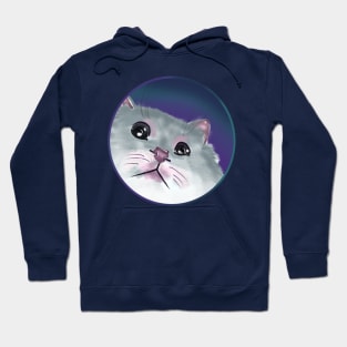 cat lovers gift Hoodie